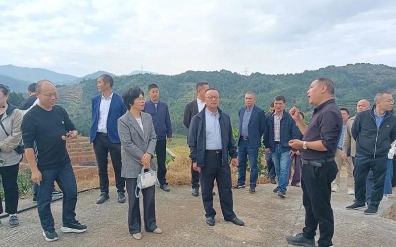丽水市供销社系统来庆开展市、县、基层社三级联动大调研活动 1