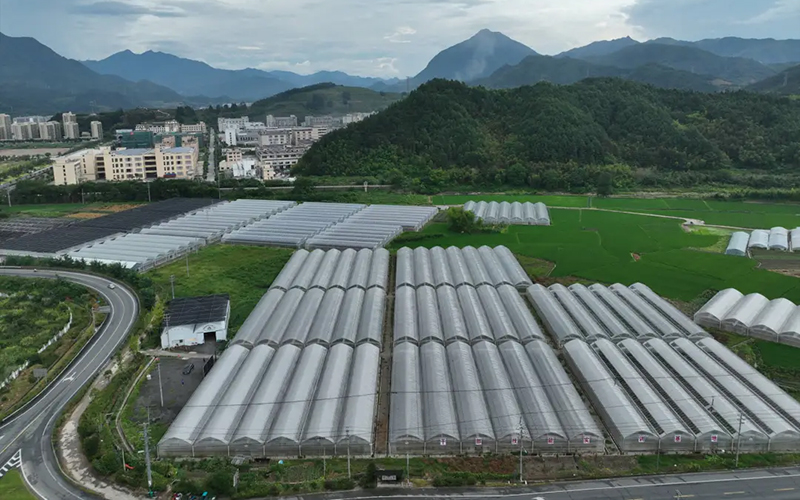 庆元县供销社在全省供销社持续深化综合改革暨基层组织赋能强基工作推进会作典型交流发言