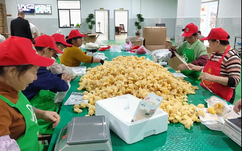 庆元县供销社在全省供销社持续深化综合改革暨基层组织赋能强基工作推进会作典型交流发言