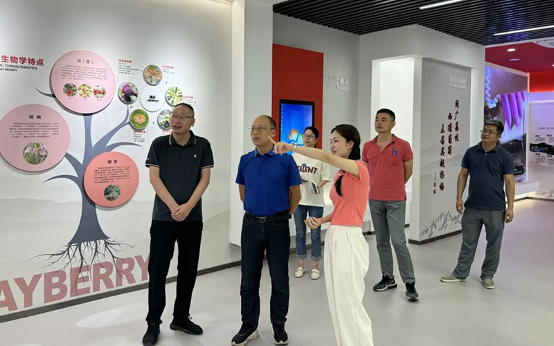 庆元县供销社开展“三位一体”改革调研 2