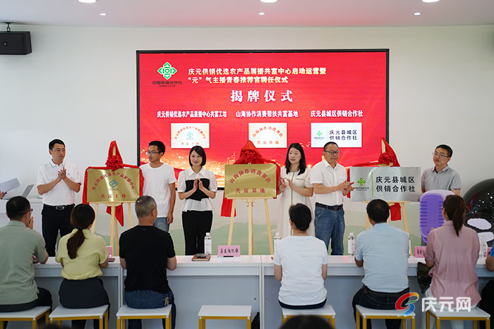 庆元供销优选农产品展播共富中心
