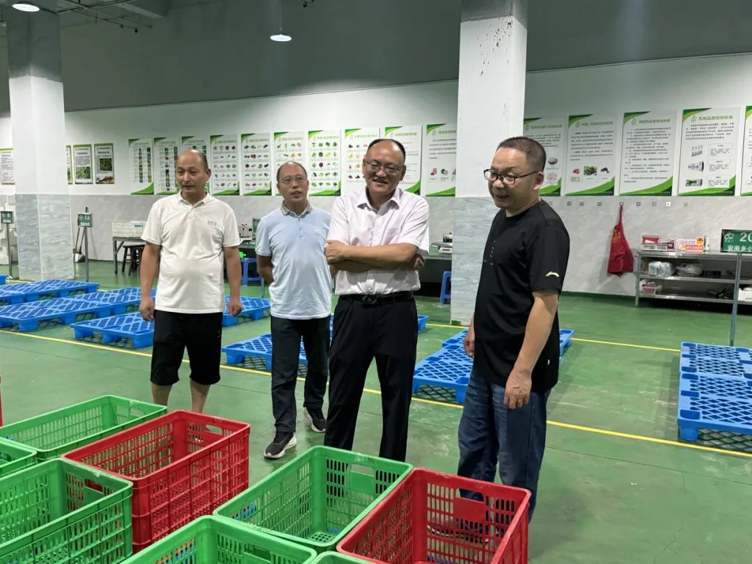 丽水市供销社副主任吴积雷一行在庆元供销优选生鲜分选冷藏中心调研。