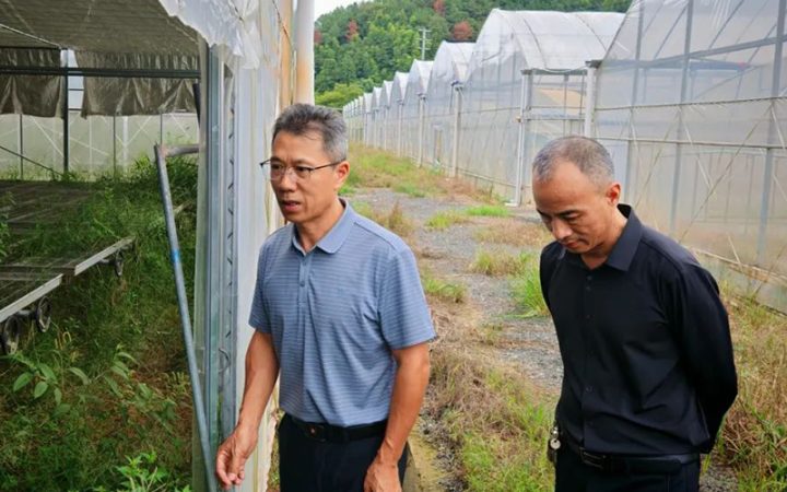 节前安全大检查 ，庆元供销在行动1