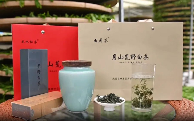 庆元荒野茶“云屏茶”牌绿茶荣获2024年浙江绿茶西安行金奖