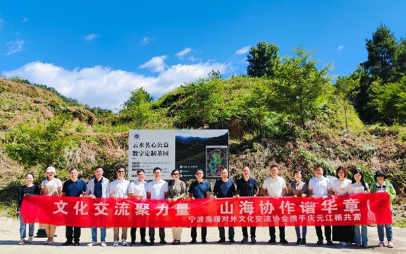 宁波海曙—庆元江根持续深化山海协作工作：以茶为媒,以文会友,携手共富