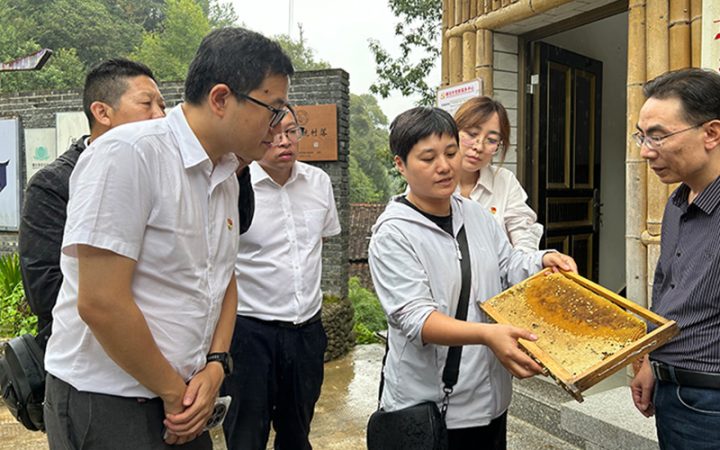 庆元县官塘乡开展“蜂”收助农行动暨丰收节活动