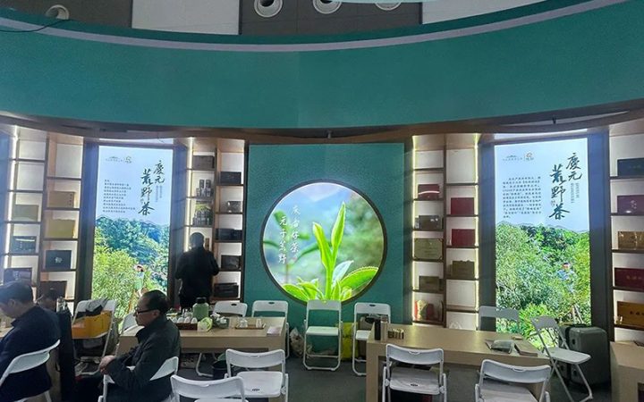 庆元荒野茶“云屏茶”牌绿茶荣获2024年浙江绿茶西安行金奖