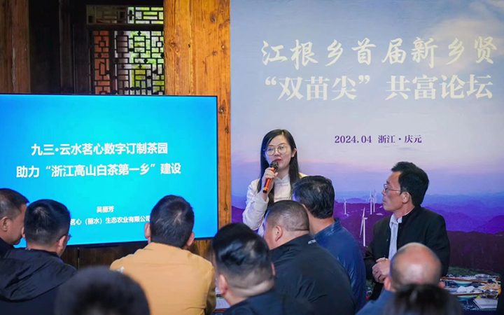 庆元数字订制茶园迎来首批主人 ，庆元荒野茶产业探索共富新路径
