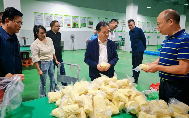 浙江省供销社副主任郭峻一行来庆元调研指导农村“三位一体”改革工作