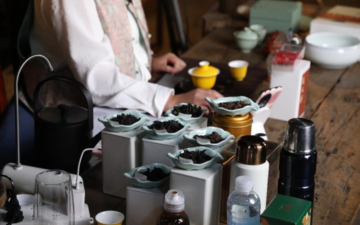 陈列“问山”直播间带你探秘庆元高山茶园 1