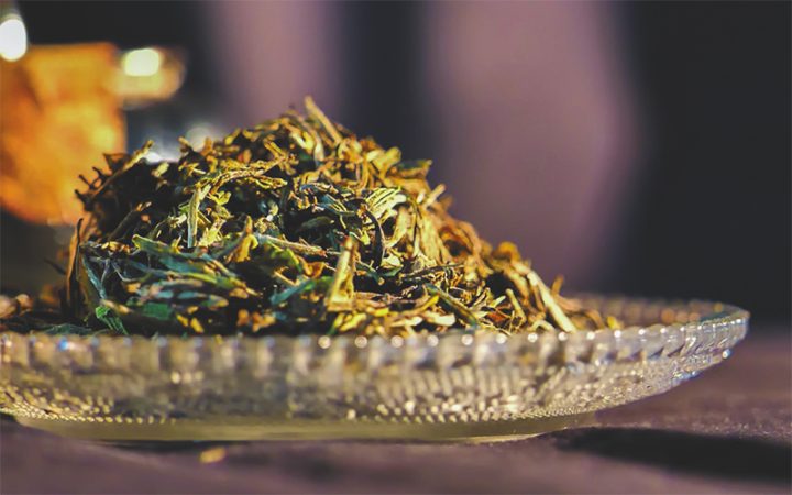 丽水荒野茶：从隐匿深山到“一叶千金”