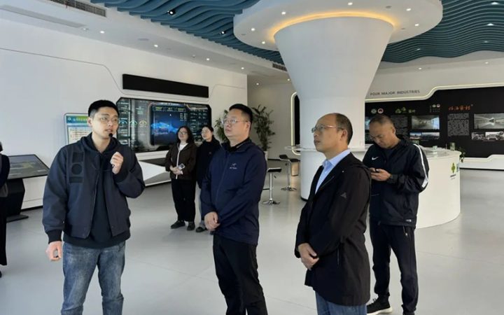 庆元县供销社开展“三位一体”改革调研 