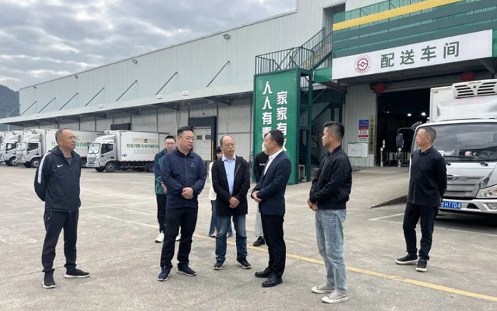 庆元县供销社开展“三位一体”改革调研