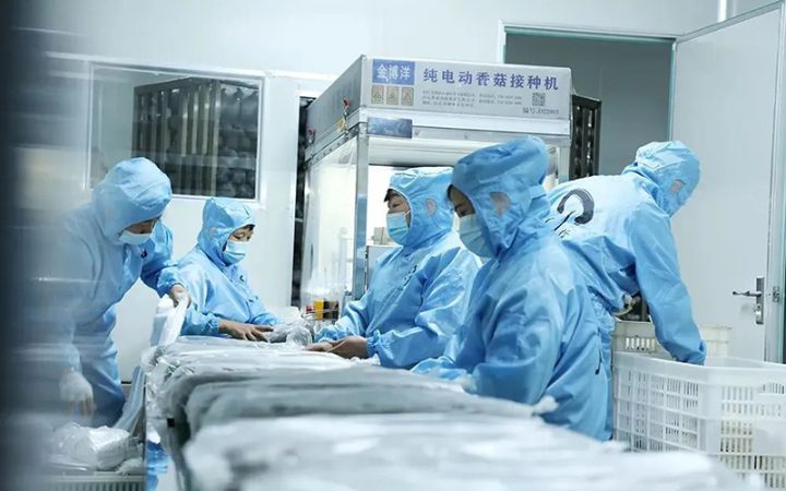 庆元精创食用菌科技荣获“国家食用菌产业技术体系科技示范企业”荣誉称号