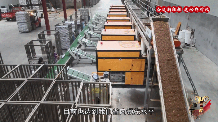 庆元精创食用菌科技荣获“国家食用菌产业技术体系科技示范企业”荣誉称号