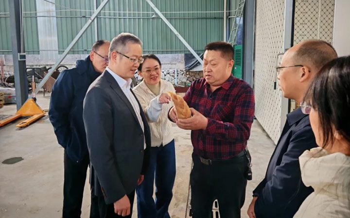 浙江省供销社副主任董益彪深入庆元基层联系点走访调研