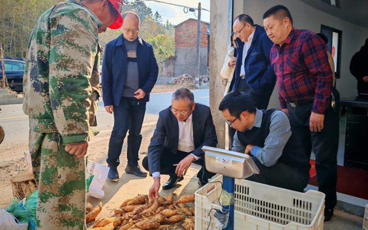 浙江省供销社副主任董益彪深入庆元基层联系点走访调研