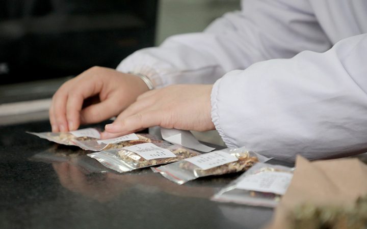 庆元中医院推出独具庆元特色的中药文创袋