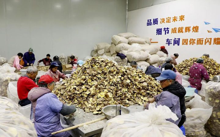 庆元县菌博生物科技有限公司分选中心