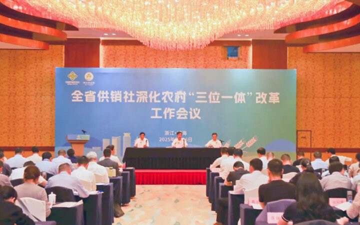 庆元县供销社在全省供销社深化农村“三位一体”改革工作会议上作交流发言