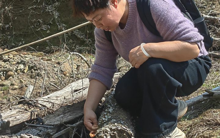 浙江省农业科学院园艺研究所联合庆元县食用菌产业中心开展了香菇种质资源创新及育种技术交流