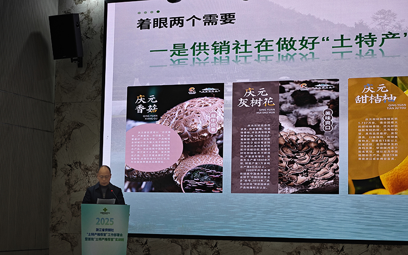 庆元县供销社在全省供销社“土特产推荐官”工作部署会上作交流发言