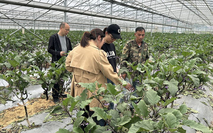 联华华商集团等赴庆元考察山地蔬菜产业，深化产销对接合作