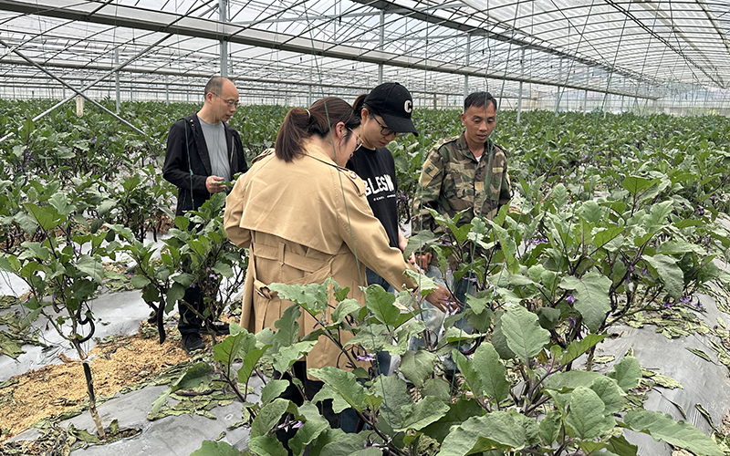 联华华商集团等赴庆元考察山地蔬菜产业，深化产销对接合作