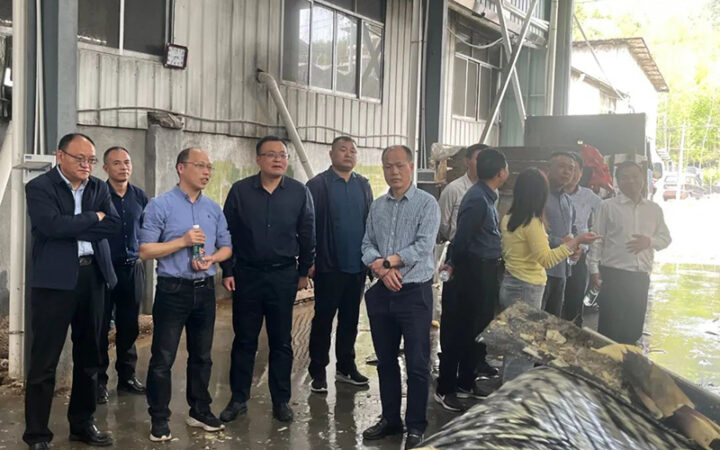 湖州市供销社主任郭连伟一行来庆调研“供销跑村”工作 