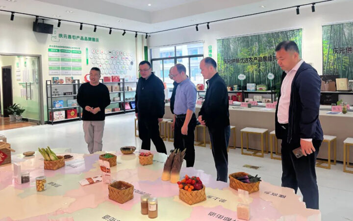 湖州市供销社主任郭连伟一行来庆调研“供销跑村”工作 