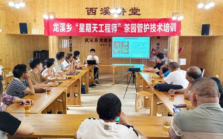 中国农业科学院茶叶研究所结对帮扶，助力庆元县龙溪乡茶产业发展