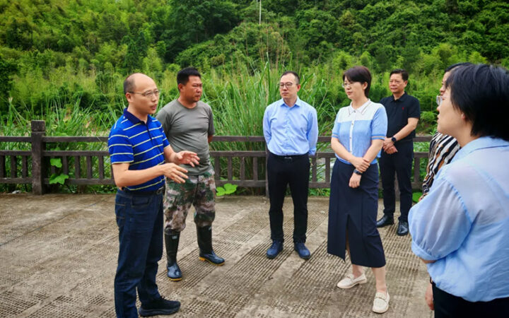 长兴县县长姜华一行考察我县山海协作吊瓜套种示范基地