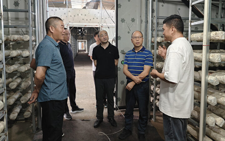 山海协作谱新篇—嘉善县供销社赴庆元考察农产品产销合作