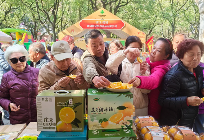 庆元供销优选携“ 庆元好物 ”组团登陆上海滩