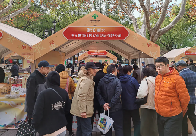 庆元供销优选携“庆元好物”组团登陆上海滩