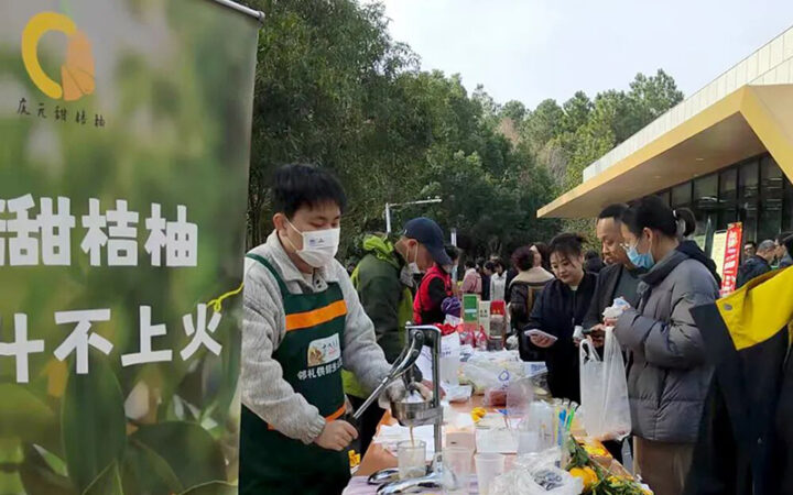 跨越山海，宁波海曙区、湖州长兴县两地政府机关食堂飘起“庆元味”