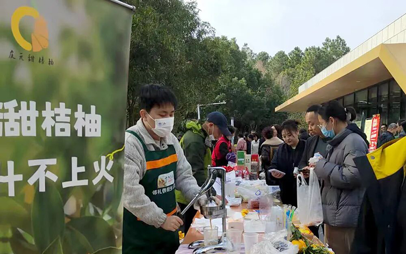 跨越山海，宁波海曙区、湖州长兴县两地政府机关食堂飘起“庆元味”